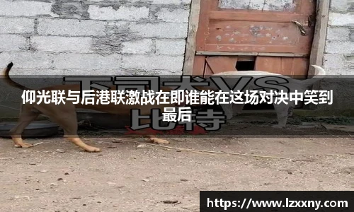 仰光联与后港联激战在即谁能在这场对决中笑到最后